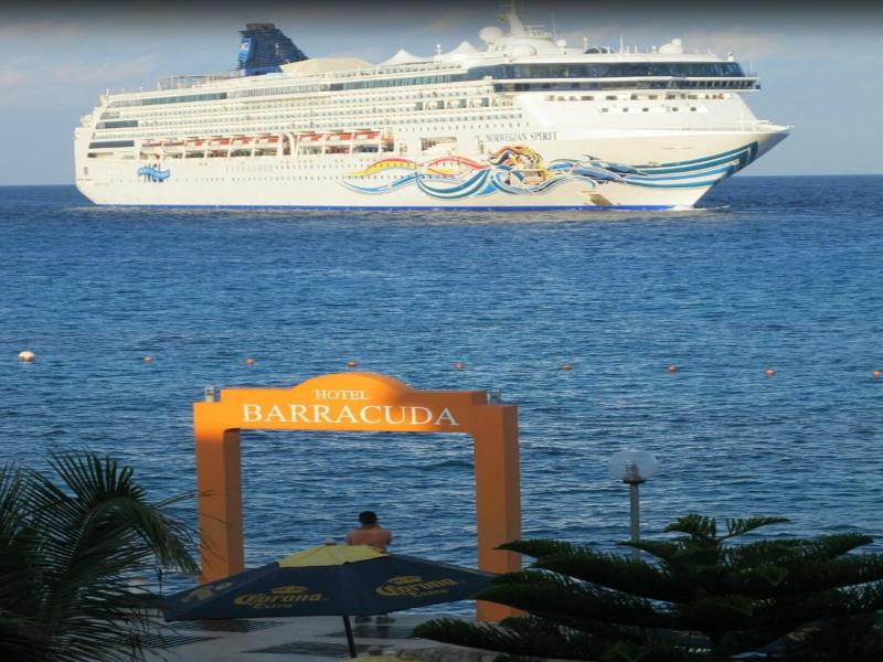 Barracuda