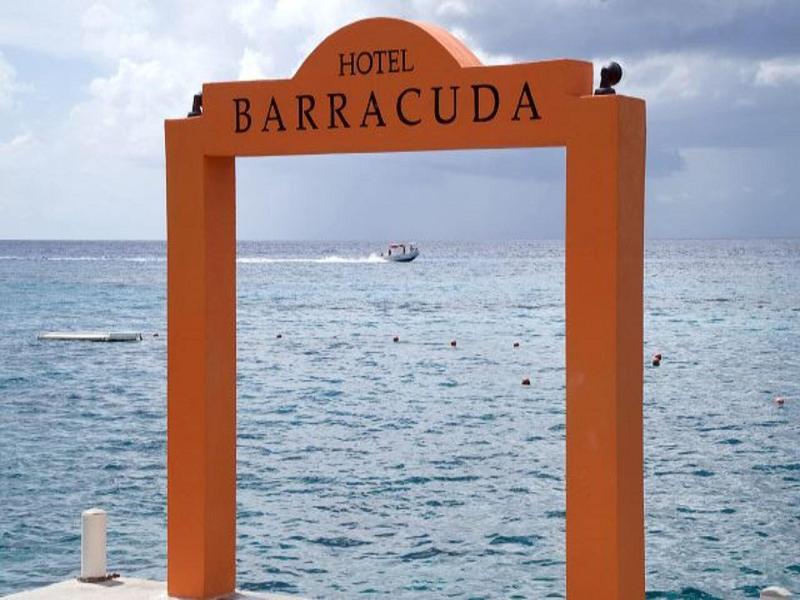 Barracuda