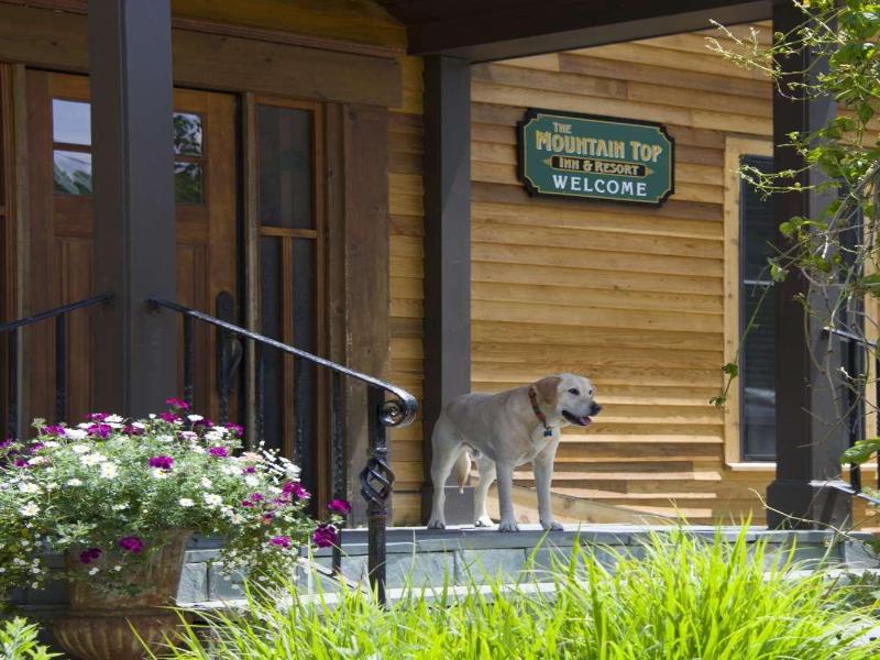 The Mountain Top Inn & Resort image