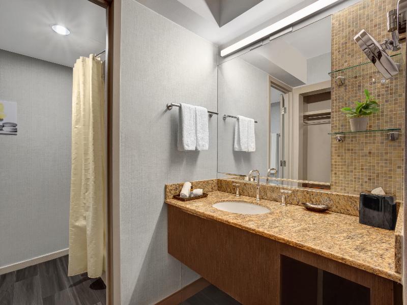 Hyatt Regency Dfw International Airport image