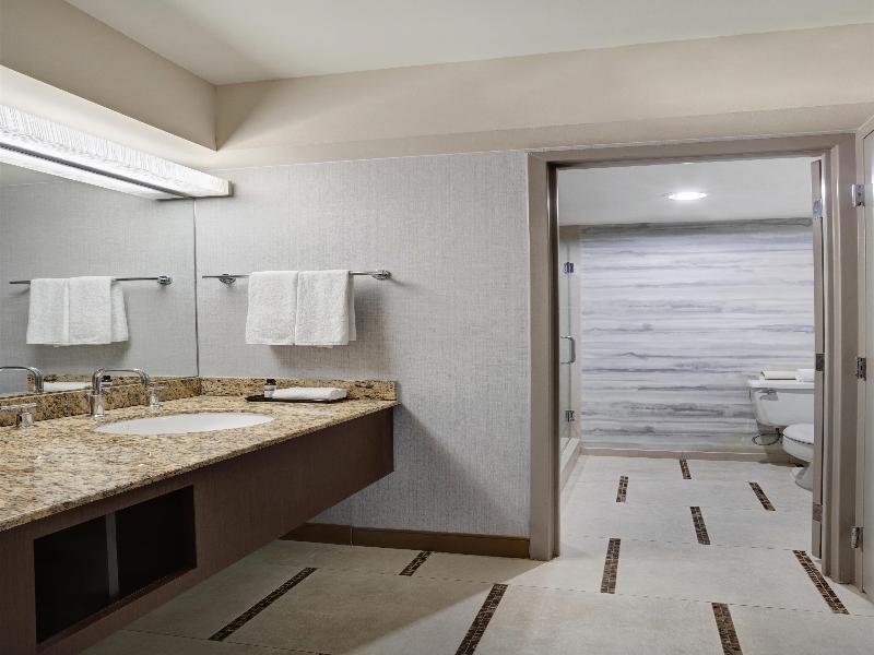 Hyatt Regency Dfw International Airport image