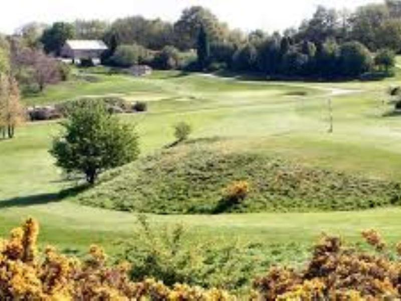 Mercure Barnsley Tankersley Manor image
