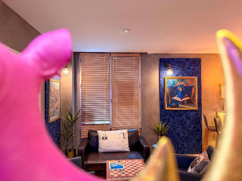 ibis Styles Paris Tolbiac Bibliothèque image