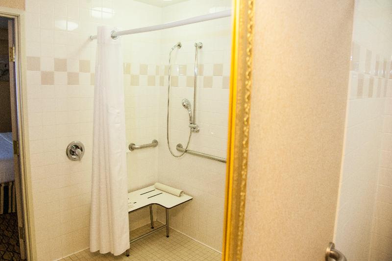 Holiday Inn & Suites Chicago-Downtown By IHG image