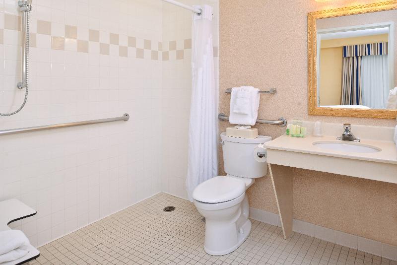 Holiday Inn & Suites Chicago-Downtown By IHG image