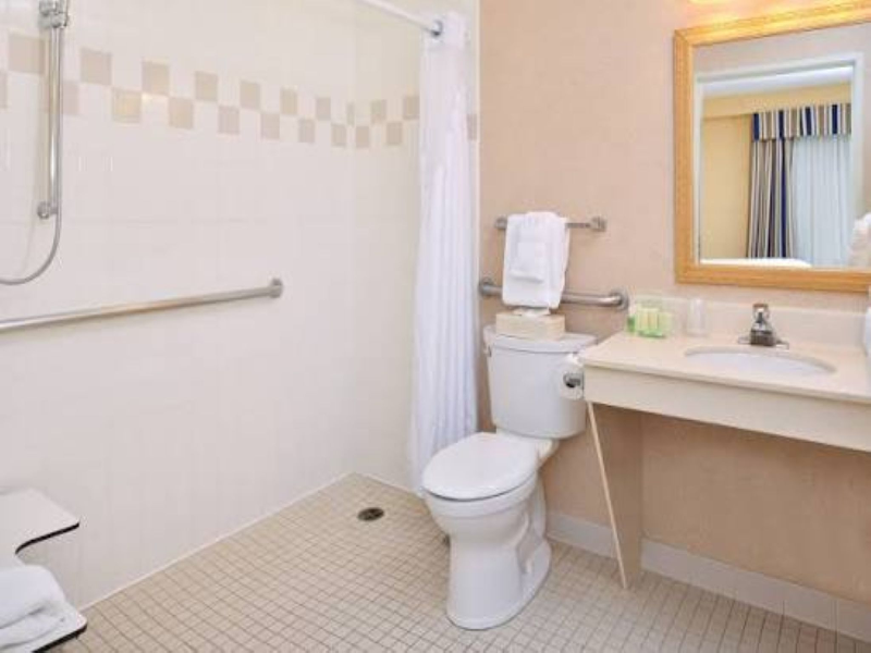 Holiday Inn & Suites Chicago-Downtown By IHG image