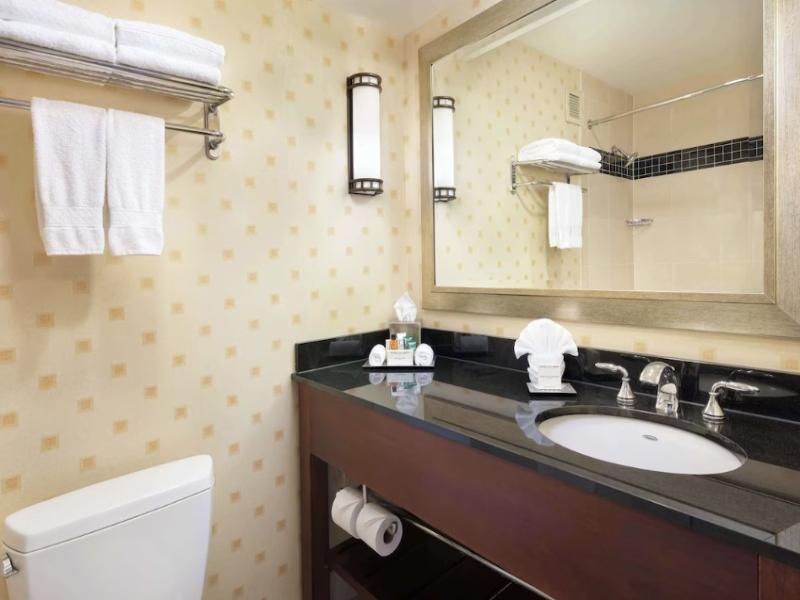 Hilton Chicago O'Hare Airport image