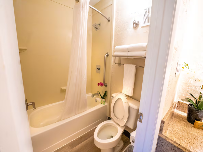 Mai Hana Hotel & Suites International Drive image