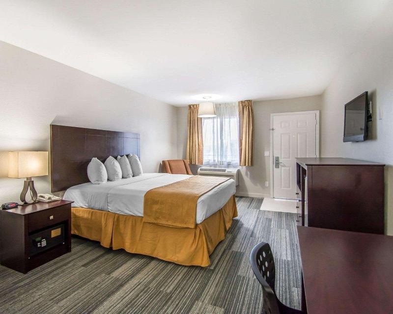 Quality Inn & Suites By The Parks image