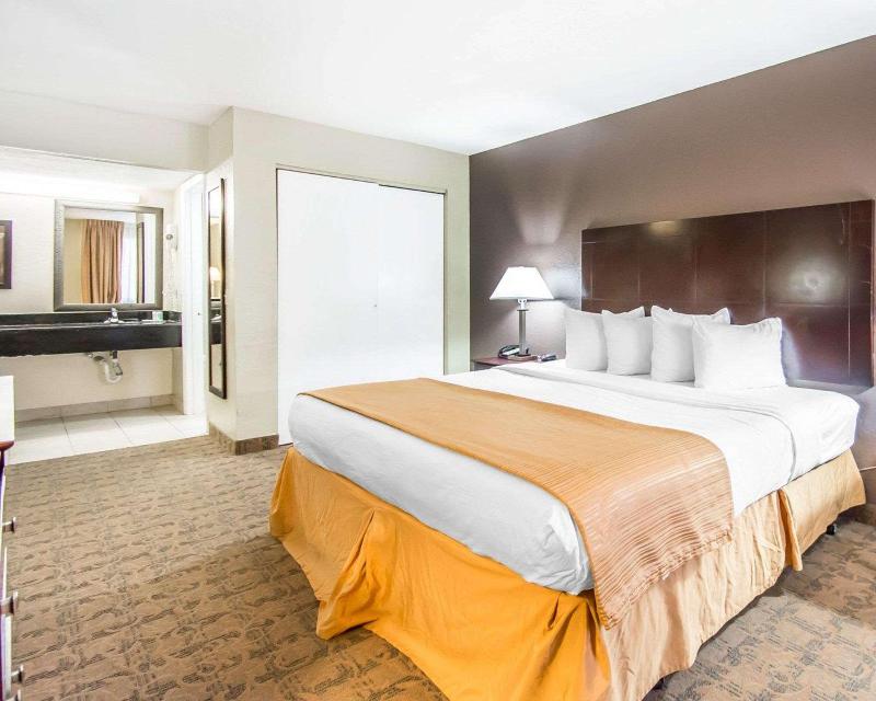 Quality Inn & Suites By The Parks image