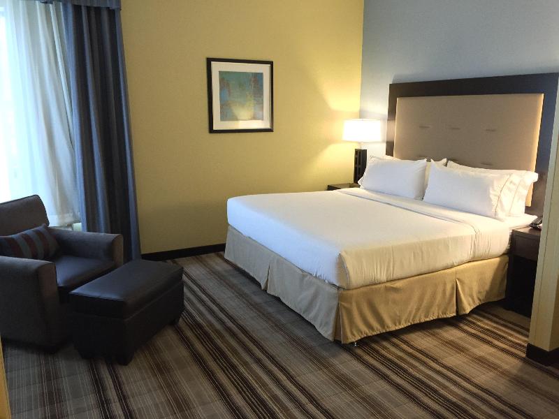 Holiday Inn Express Chicago Arlington Heights photo 21
