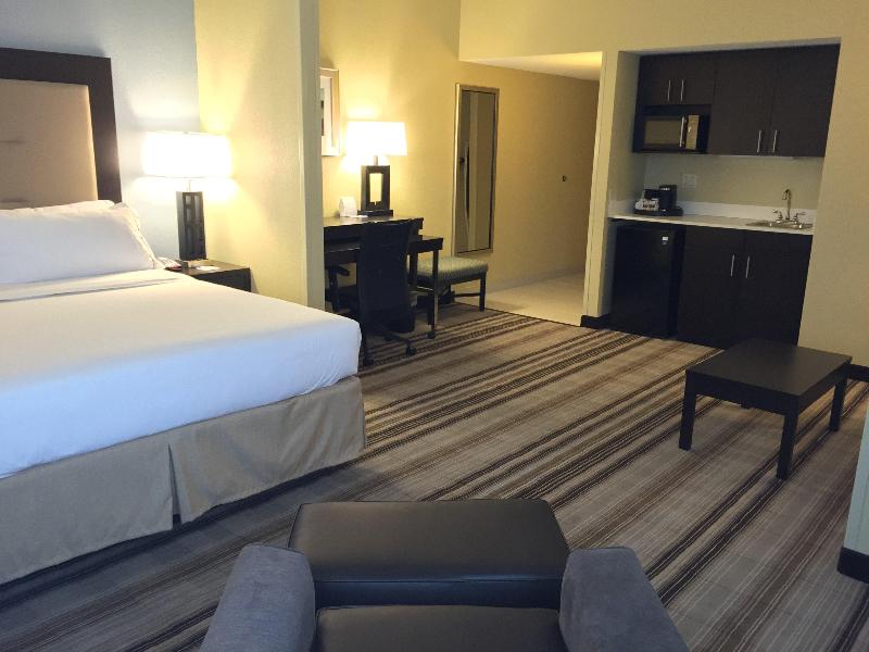 Holiday Inn Express Chicago Arlington Heights photo 24
