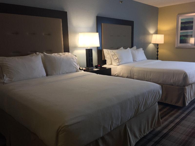 Holiday Inn Express Chicago Arlington Heights photo 14