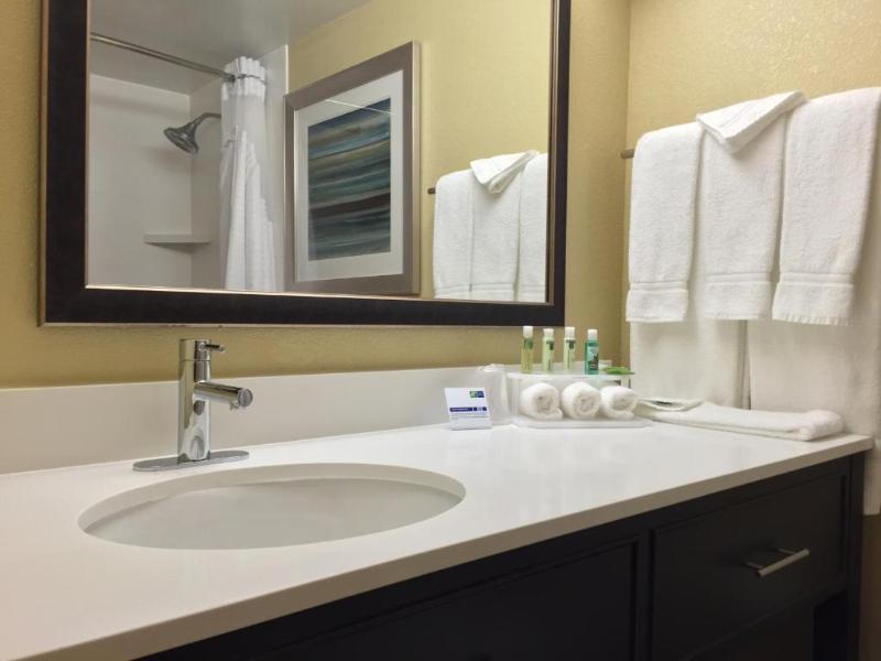 Holiday Inn Express Chicago Arlington Heights image