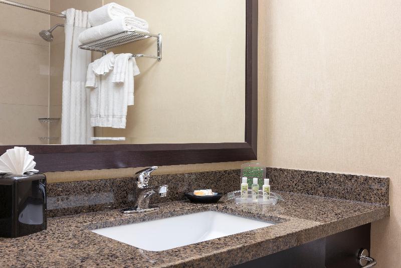 Grand Royal Hotel O'Hare - Chicago image