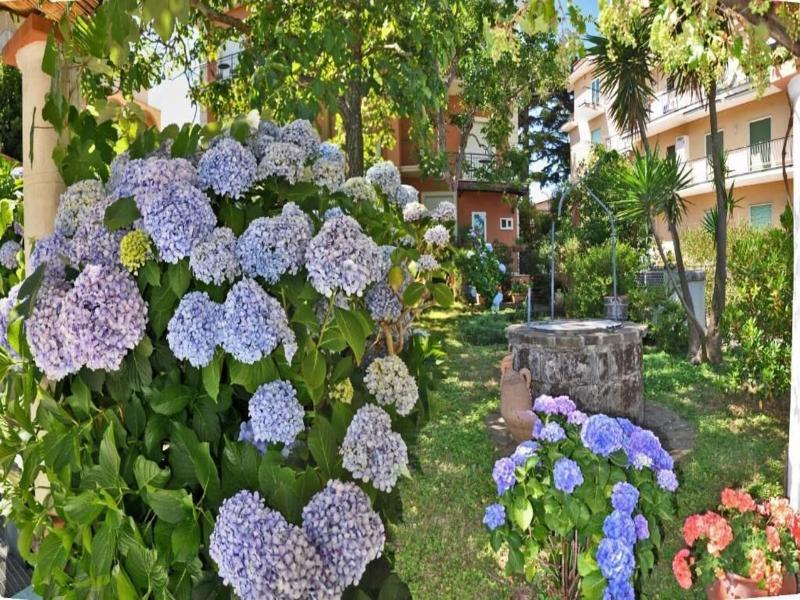 Villa Fernanda image