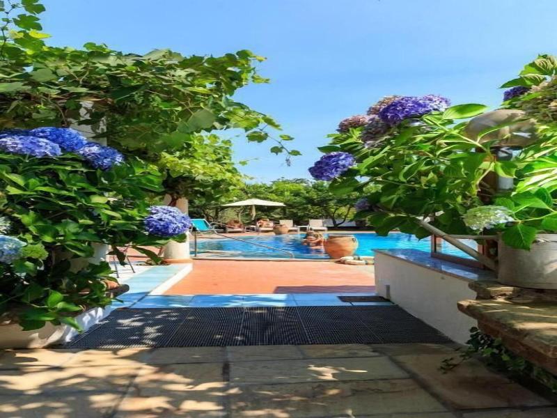 Villa Fernanda image