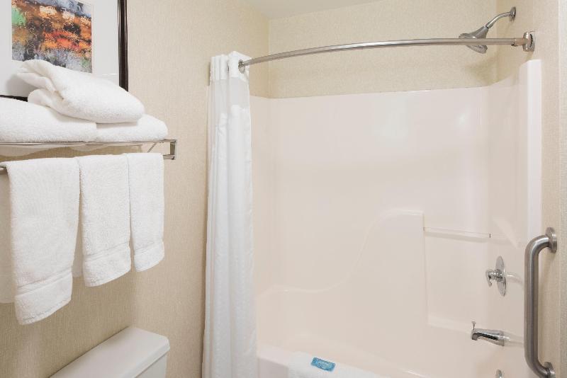 Holiday Inn Express & Suites East Greenbush photo 17