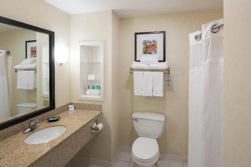 Holiday Inn Express & Suites East Greenbush photo 21