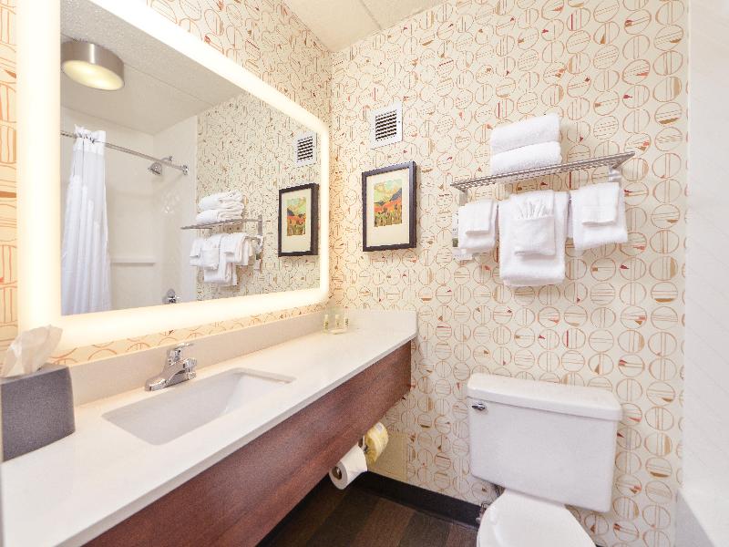 Holiday Inn Auburn-Finger Lakes Region image
