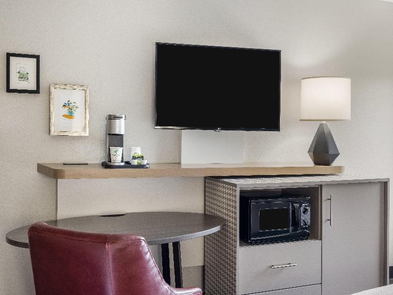 Holiday Inn Auburn-Finger Lakes Region image