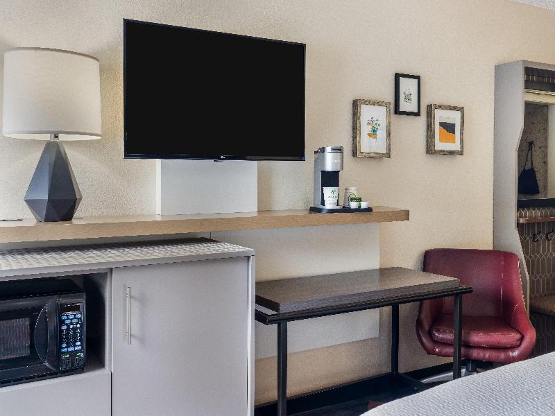 Holiday Inn Auburn-Finger Lakes Region image
