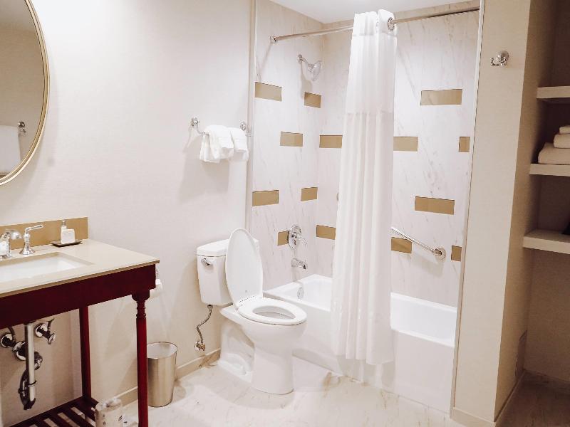 Galt House Hotel, A Trademark Collection Hotel image