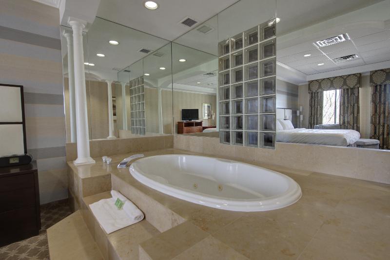 Holiday Inn Plainview-Long Island  image