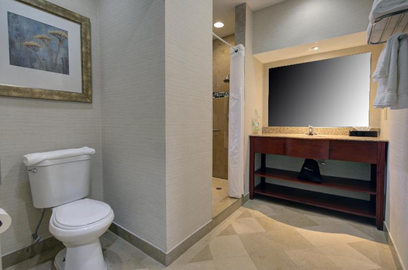 Holiday Inn Plainview-Long Island  image