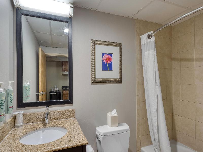 Best Western Owego Inn image