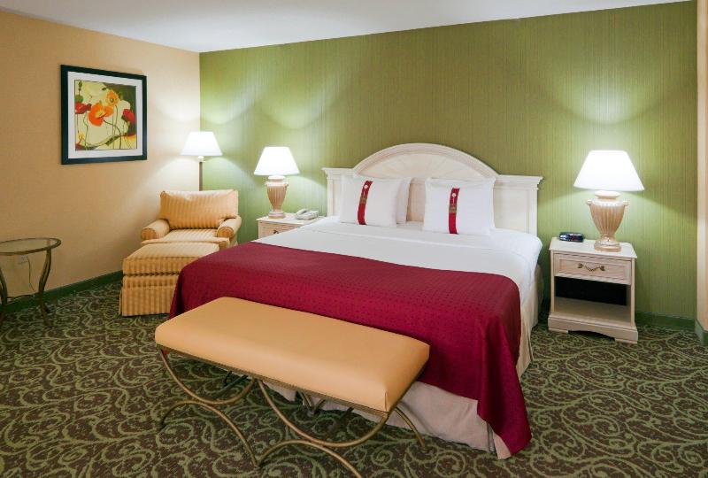 Holiday Inn Select Chantilly-Dulles-Expo (ARPT) 3