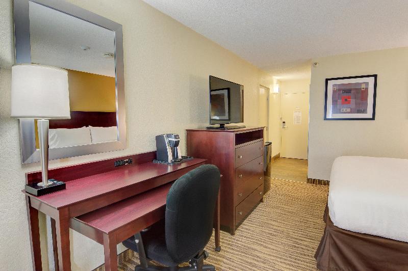 Holiday Inn St. Petersburg N Clearwater photo 19