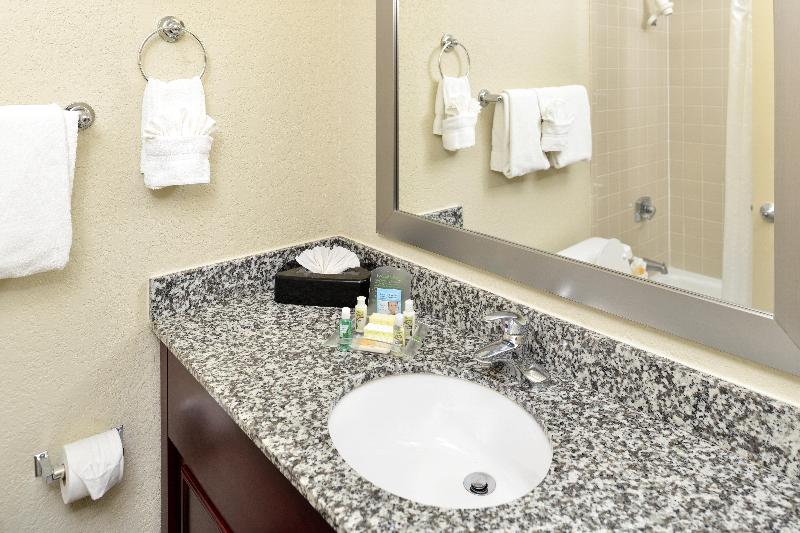 Holiday Inn St. Petersburg N Clearwater photo 20
