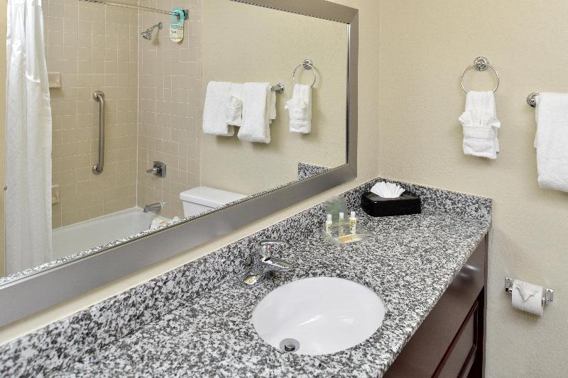 Holiday Inn St. Petersburg N Clearwater photo 13