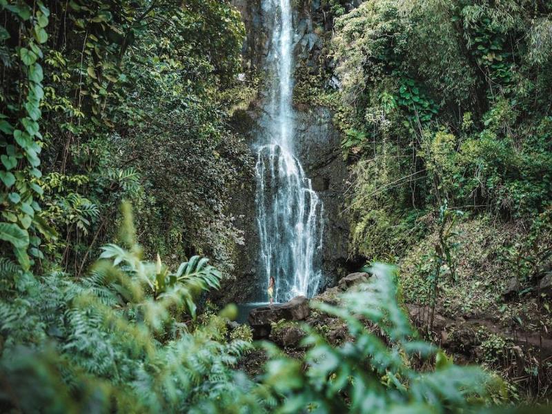 The Ritz-Carlton, Kapalua photo 3