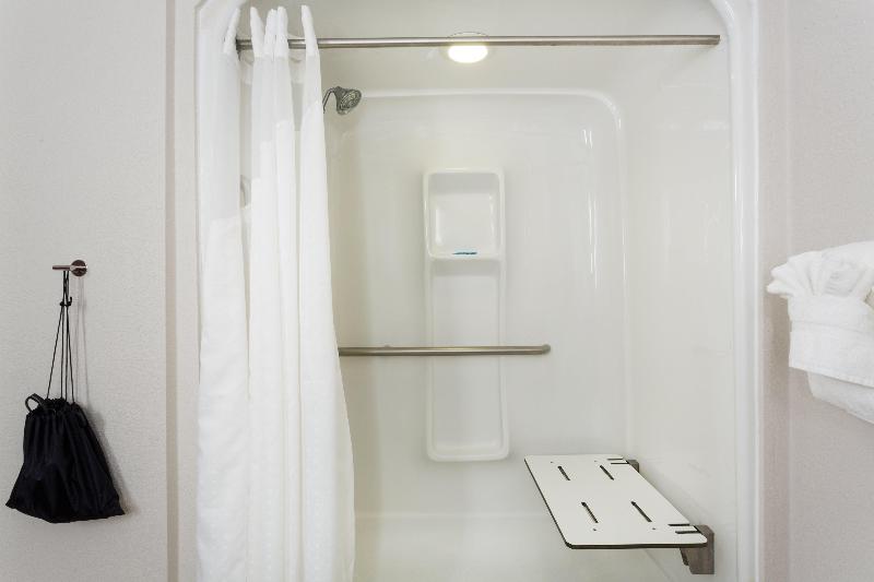 Holiday Inn Express Hotel & Suites Tampa-Fairgroun photo 19