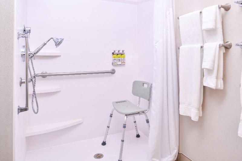 Holiday Inn Express Hotel & Suites Tampa-Anderson image