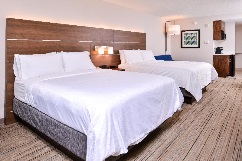 Holiday Inn Express Hotel & Suites Tampa-Anderson image