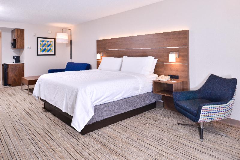 Holiday Inn Express Hotel & Suites Tampa-Anderson image