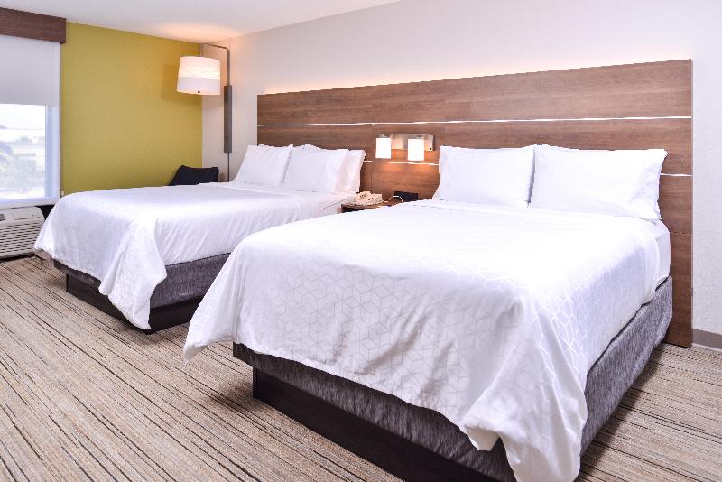 Holiday Inn Express Hotel & Suites Tampa-Anderson image