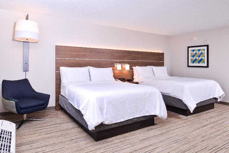 Holiday Inn Express Hotel & Suites Tampa-Anderson image