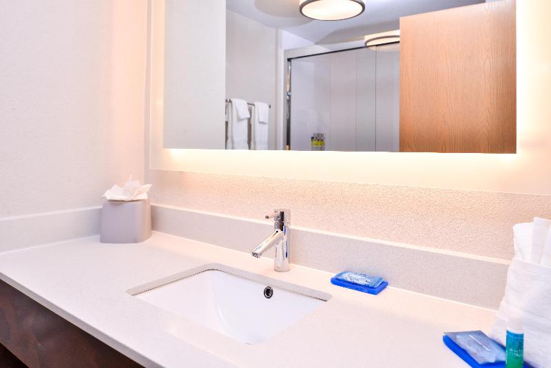 Holiday Inn Express Hotel & Suites Tampa-Anderson photo 15