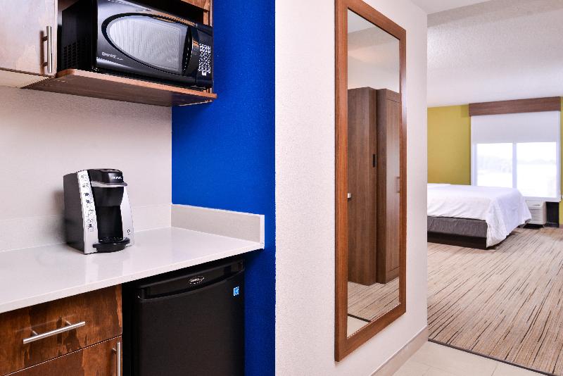Holiday Inn Express Hotel & Suites Tampa-Anderson image