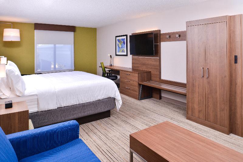Holiday Inn Express Hotel & Suites Tampa-Anderson image