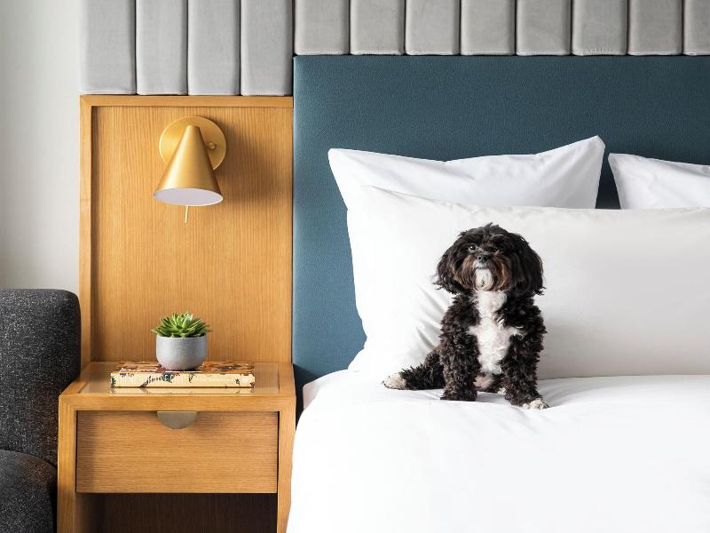 The Rivvy Hotel image