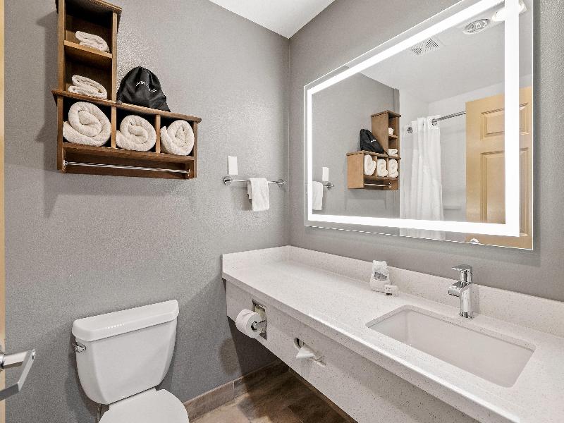 Holiday Inn Express Hotel & Suites Paso Robles  image
