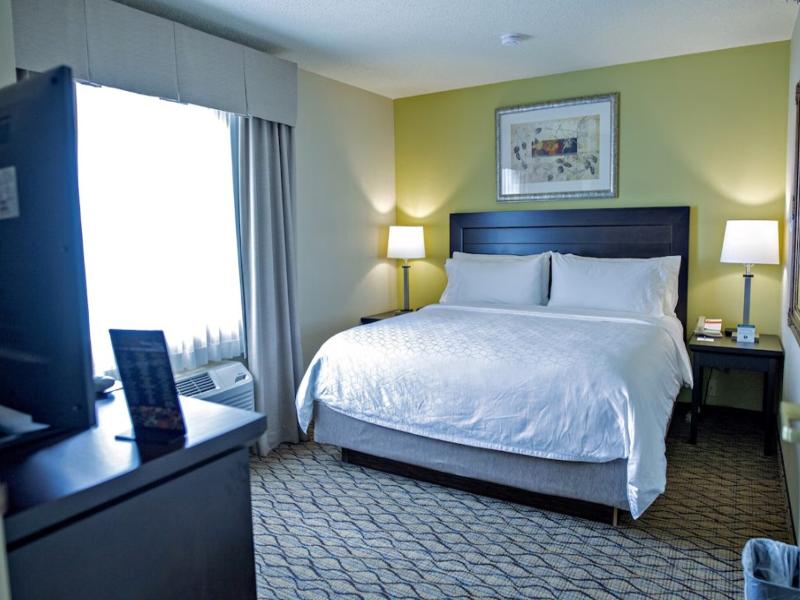 Holiday Inn Express Suites Chicago-Libertyville image