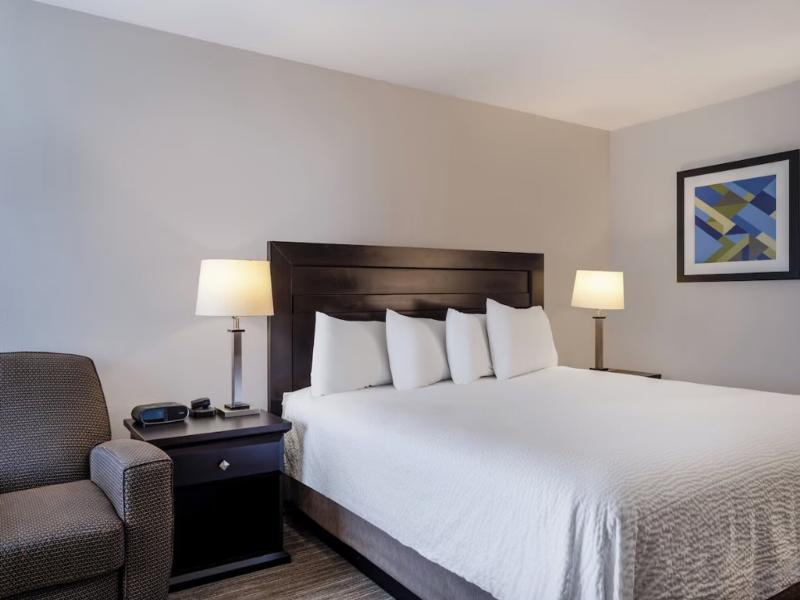 Holiday Inn Express Suites Chicago-Libertyville image