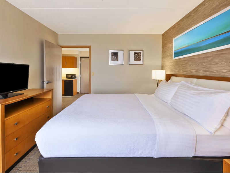 Holiday Inn Hotel & Suites Bolingbrook  image