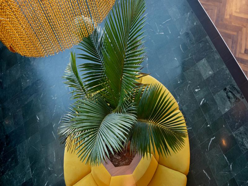 Hotel Vertice Sevilla Aljarafe image